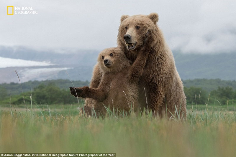 Picture 10 of The world is magnificent through photos of National Geographic
