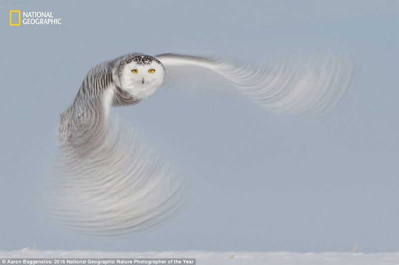 Picture 11 of The world is magnificent through photos of National Geographic
