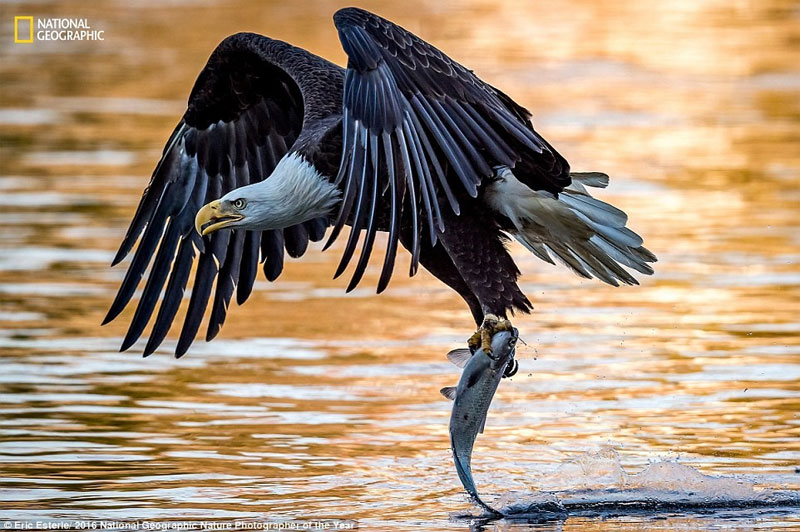 Picture 12 of The world is magnificent through photos of National Geographic