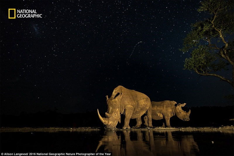 Picture 13 of The world is magnificent through photos of National Geographic