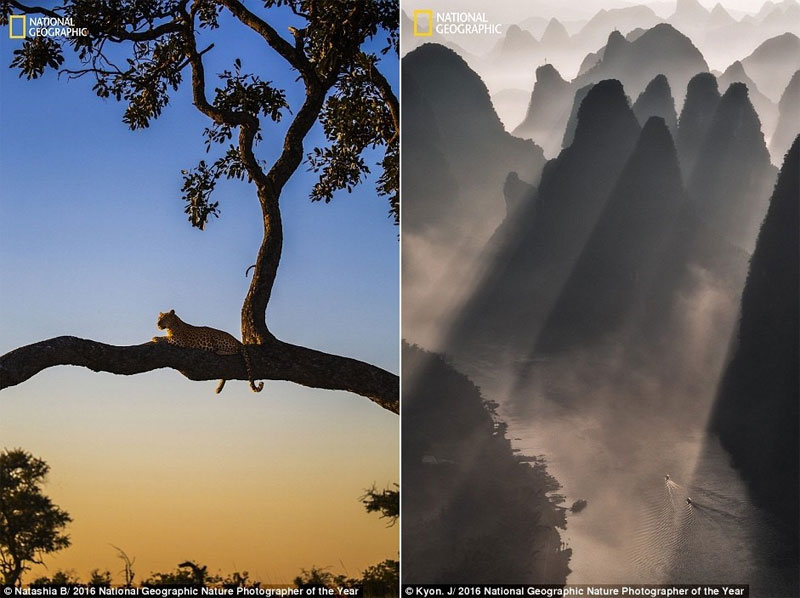 Picture 14 of The world is magnificent through photos of National Geographic
