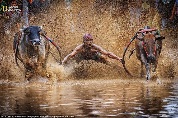 Picture 2 of The world is magnificent through photos of National Geographic