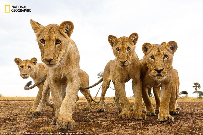 Picture 3 of The world is magnificent through photos of National Geographic