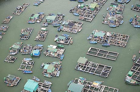 Picture 7 of The world looks from the air