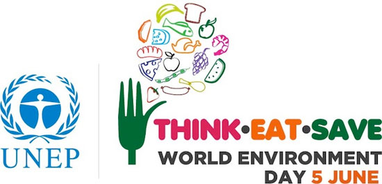 Picture 2 of The world wastes 1.3 billion tons of food every year