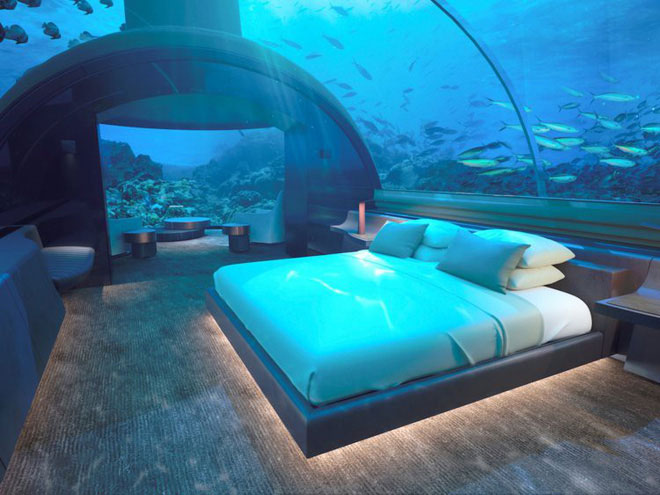 Picture 7 of The world's first undersea hotel, where you can sleep next to sharks for just 1 billion / 1 night