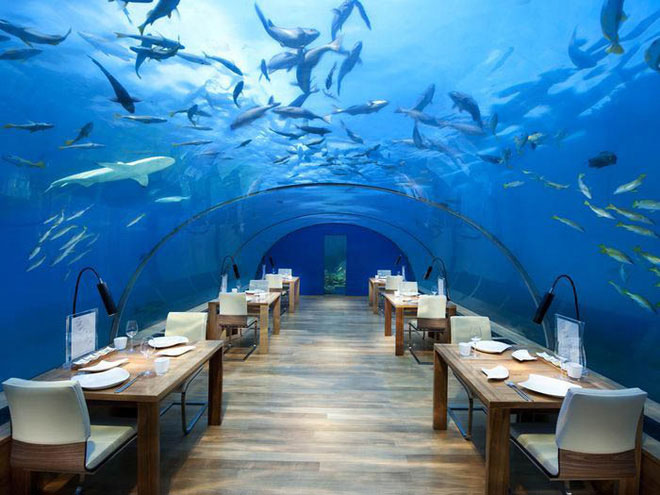 Picture 9 of The world's first undersea hotel, where you can sleep next to sharks for just 1 billion / 1 night