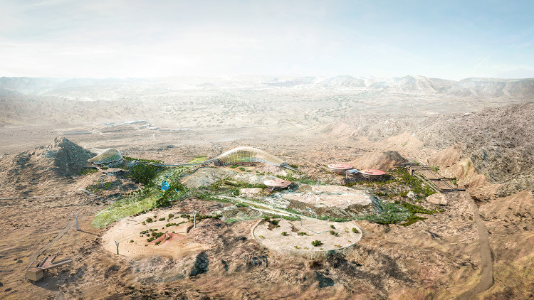 Picture 6 of The world's largest botanical garden on Oman desert