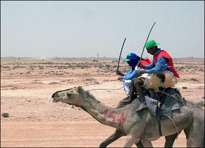 Picture 6 of The world's largest camel race