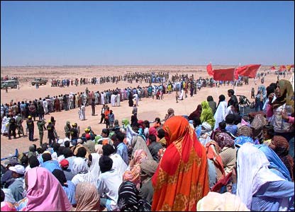 Picture 7 of The world's largest camel race