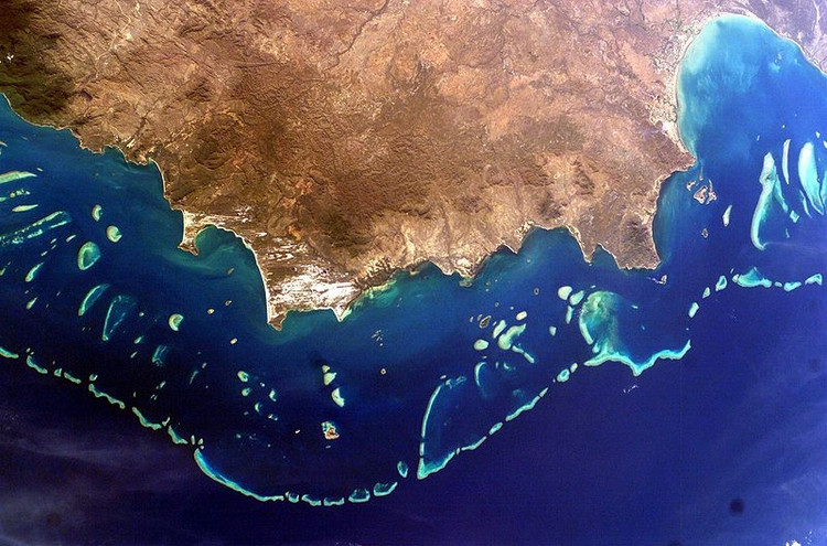 Picture 2 of The world's largest coral reefs face the risk of permanent wiping