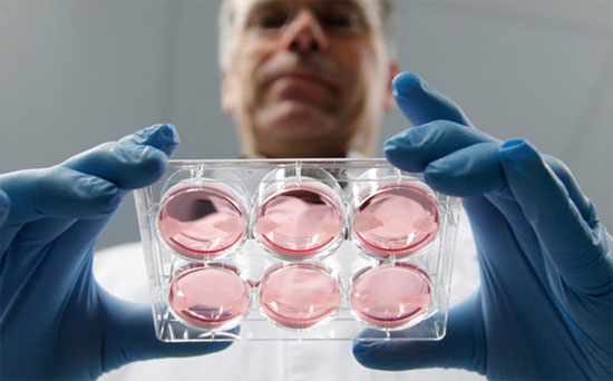 Picture 1 of The world's most expensive artificial meat tastes great