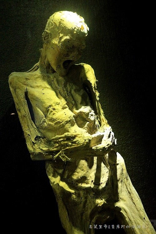 Picture 11 of The world's most horrifying corpse museum in Mexico