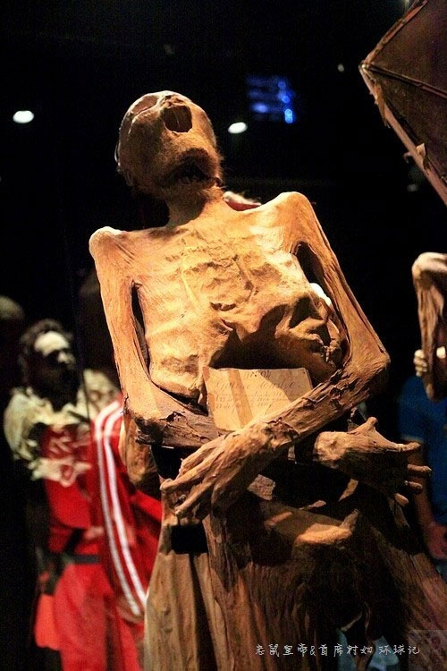 Picture 4 of The world's most horrifying corpse museum in Mexico