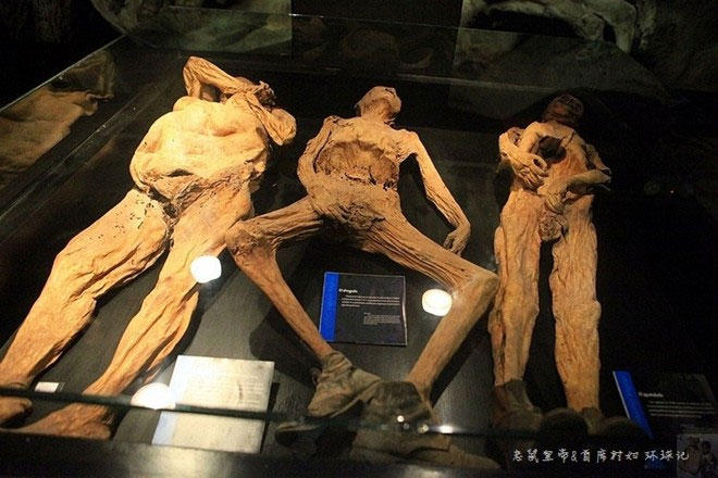 Picture 8 of The world's most horrifying corpse museum in Mexico