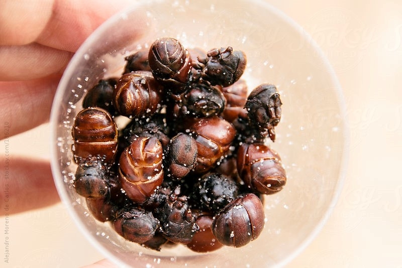 Picture 11 of The world's most strange sidewalk dishes