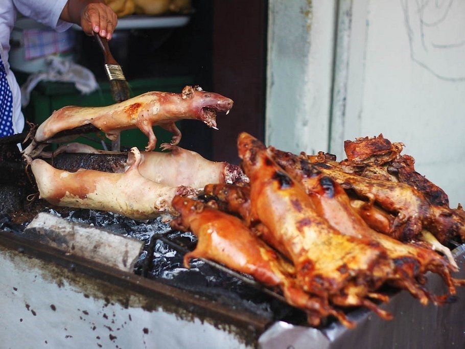 Picture 7 of The world's most strange sidewalk dishes