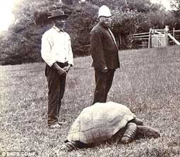 Picture 2 of The world's oldest creature