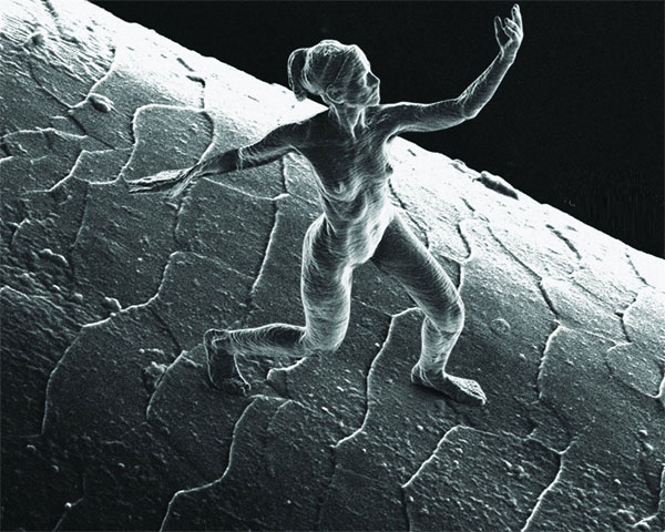Picture 1 of The world's smallest sculpture