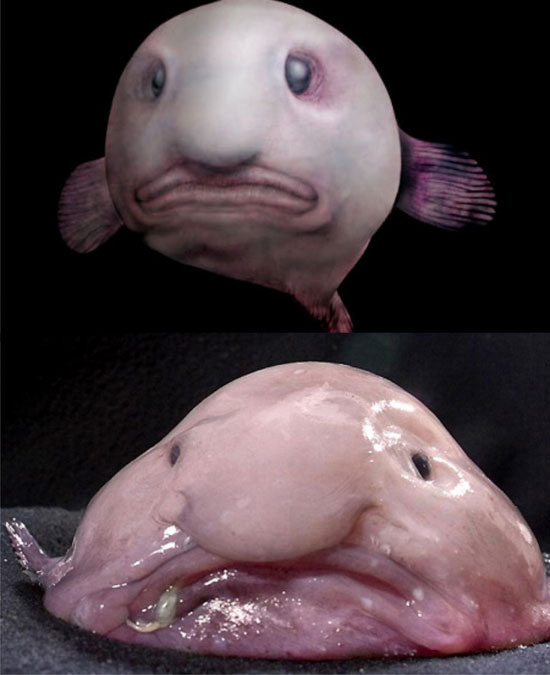 Picture 2 of The worst animals on the planet