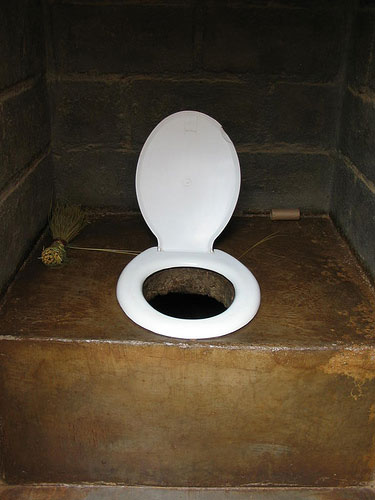 Picture 1 of The worst job in the world: Appraising odor of toilet
