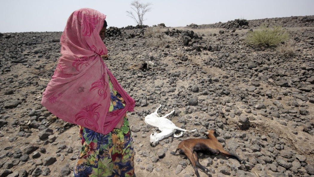 The worst natural disasters in 2015 images 11