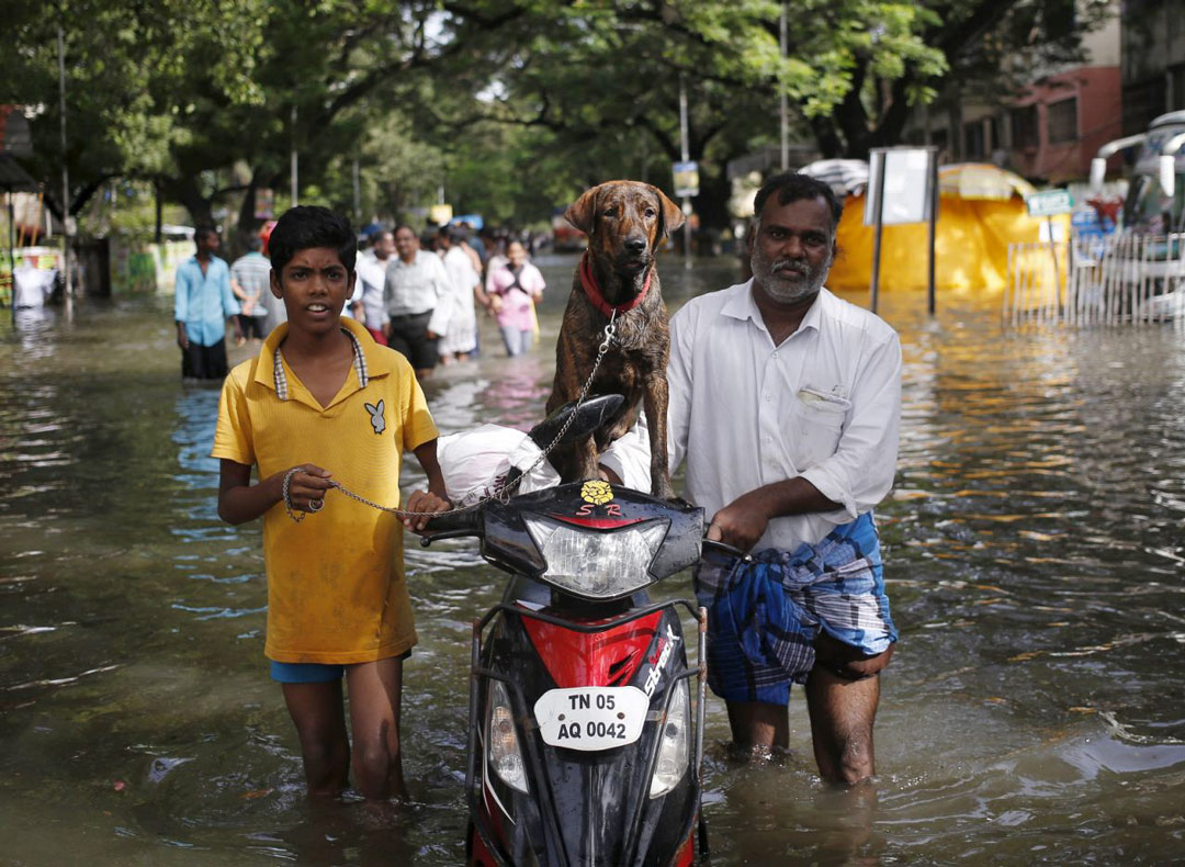 The worst natural disasters in 2015 images 4