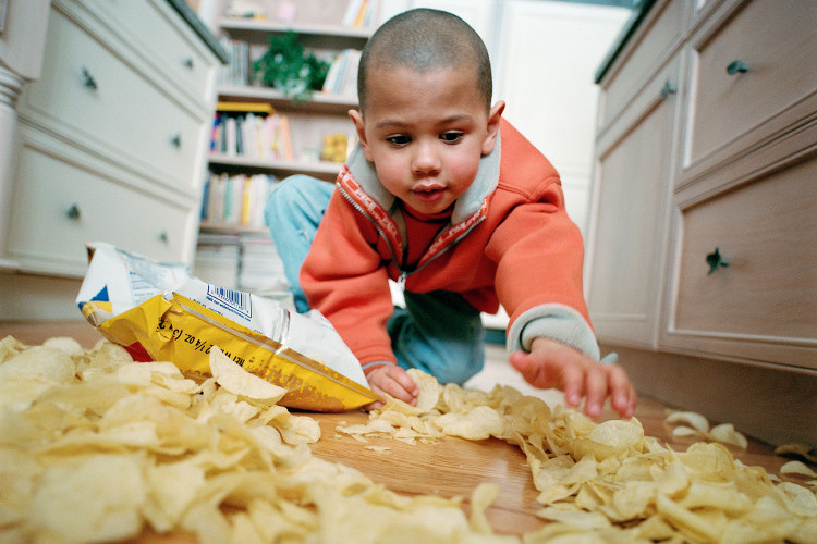 Picture 1 of The wrong 5-second rule about contaminated food