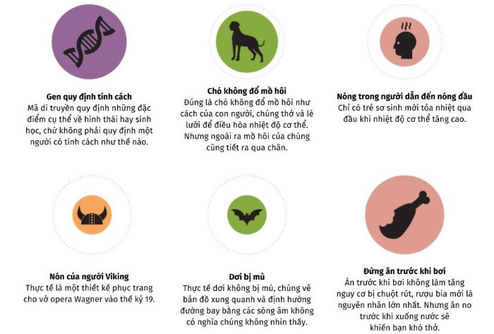 Picture 3 of The wrong scientific knowledge that everyone believes is true