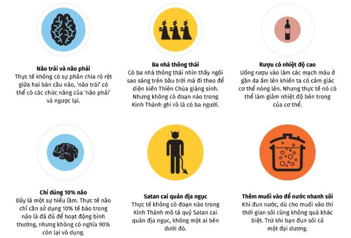 Picture 6 of The wrong scientific knowledge that everyone believes is true