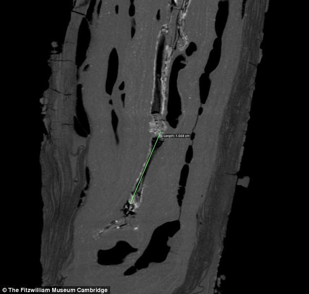 Picture 4 of The youngest mummy in the world has lost the appetite of scientists and insomnia