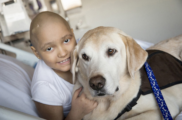 Picture 1 of Therapy dogs can help reduce anxiety, regulate blood pressure and heart rate
