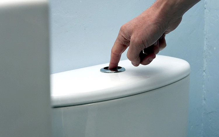 Picture 1 of There are 2 buttons on the toilet, do you know how to use each button?