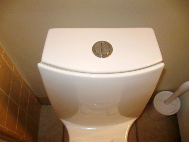 Picture 2 of There are 2 buttons on the toilet, do you know how to use each button?