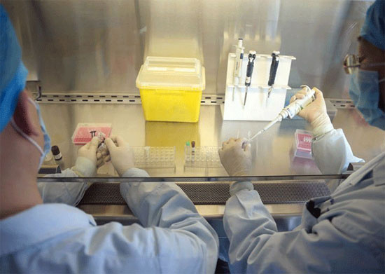 Picture 1 of There are drugs that can treat bird flu H7N9