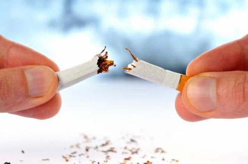 Picture 1 of There are hundreds of bacteria in tobacco