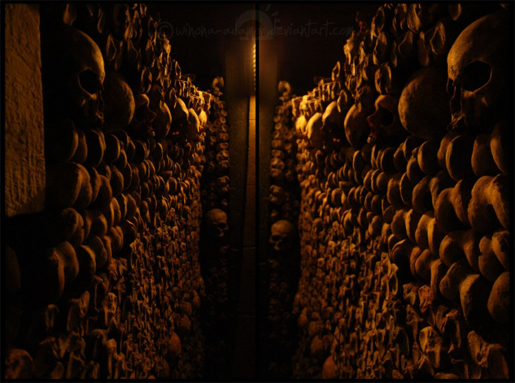 Picture 4 of There is a cemetery hundreds of kilometers underground in Paris