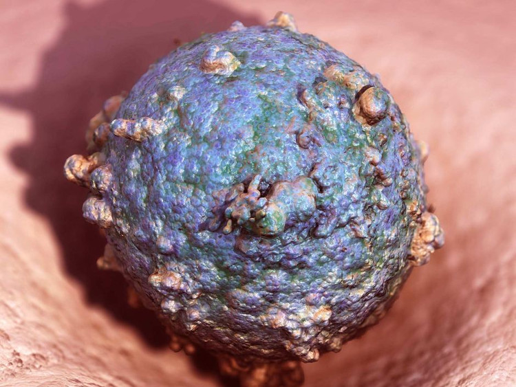 Picture 5 of There is a sexually transmitted disease that you have never heard before