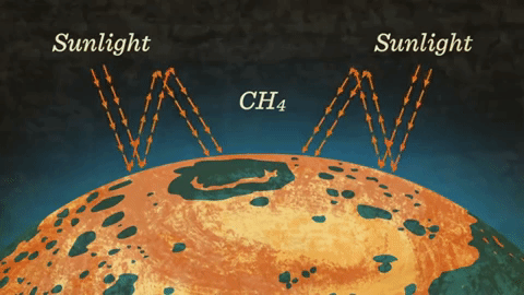 Picture 6 of There is a single-celled creature that has the power to change the world