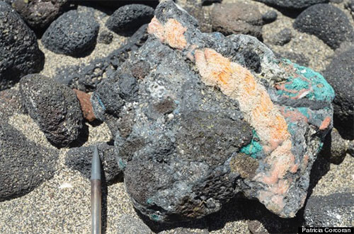 Picture 3 of There is an entirely new form of pollution in plastic and it is causing a headache for the scientific community