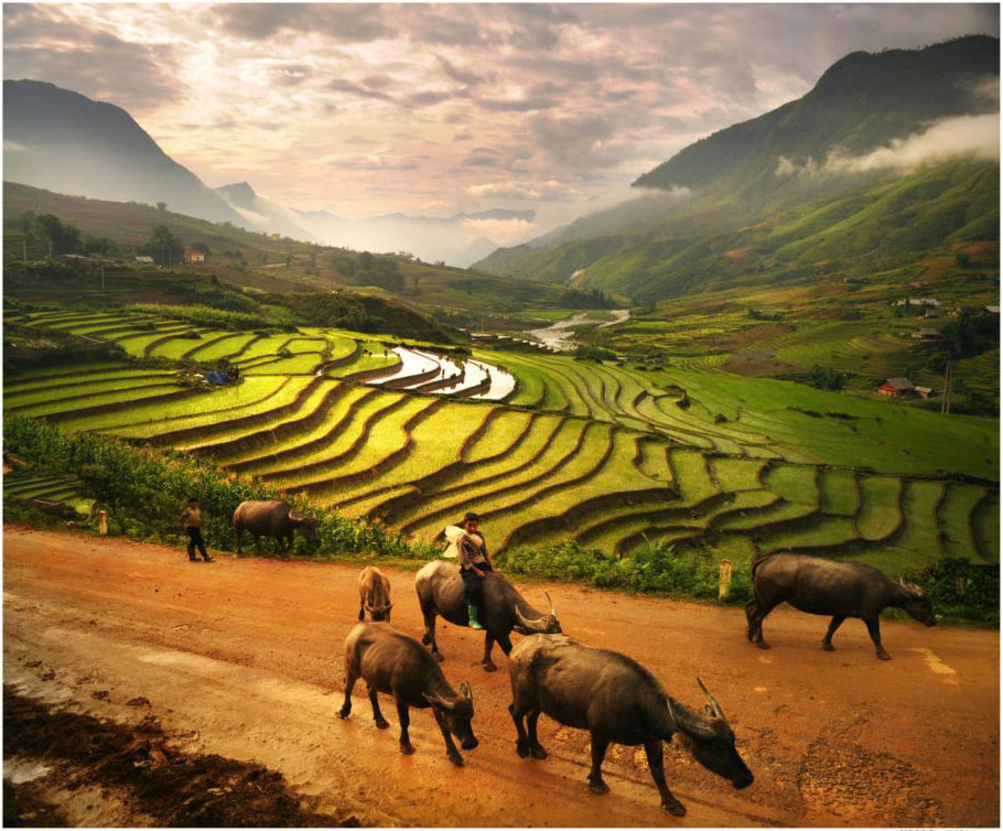 Picture 4 of There is such a ravishing Asia!