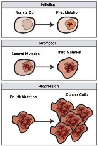There will be a vaccine against cancer images 1