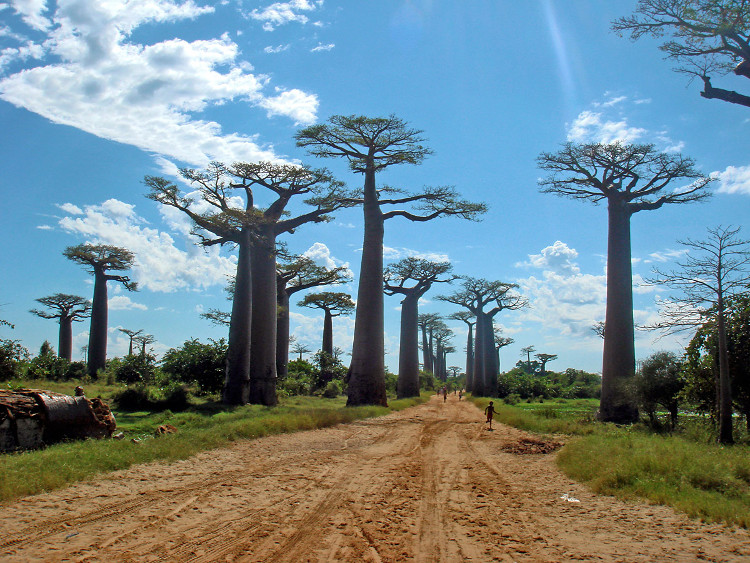 Picture 3 of These 9 famous landmarks are about to disappear forever, all because ...