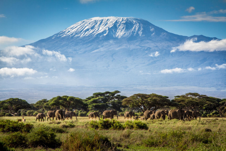 Picture 6 of These 9 famous landmarks are about to disappear forever, all because ...