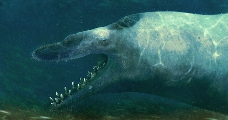 Picture 5 of These are 5 prehistoric monsters that deserve to be filmed like Megalodon