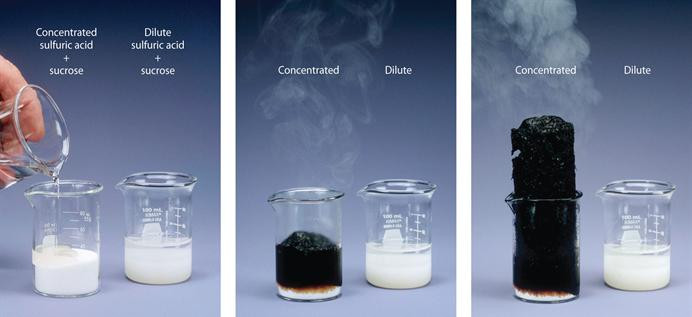 Picture 11 of These are the 5 most horrible chemicals in history