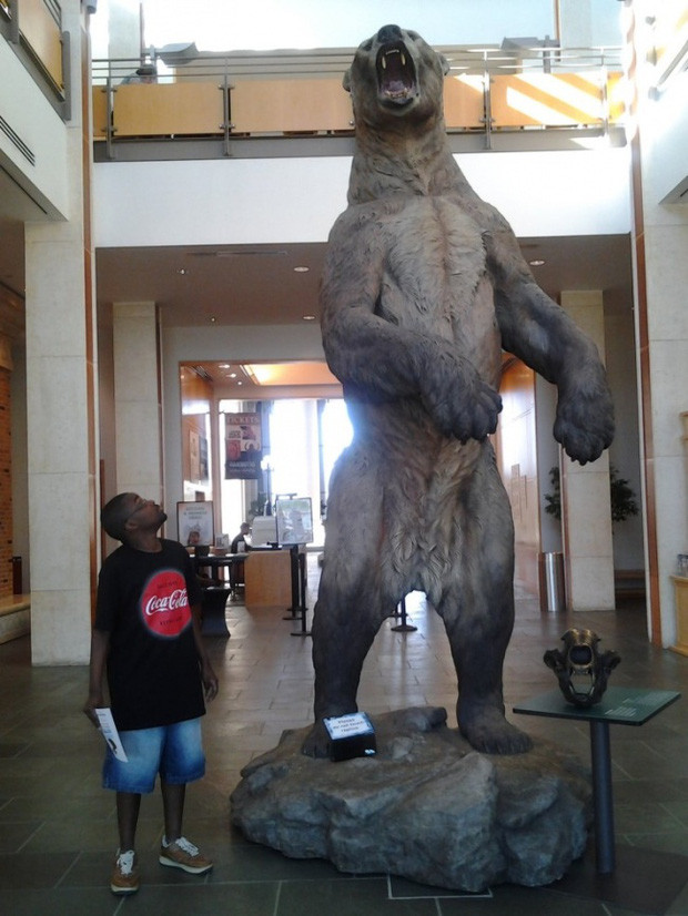 Picture 11 of These are the most giant creatures that appear on Earth