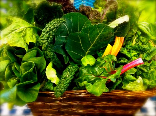 Picture 5 of These foods are better than medicine