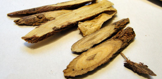 Picture 7 of These foods help prevent cancer