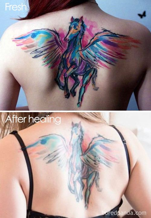 Picture 6 of These images will make you think again before you want to go tattooing